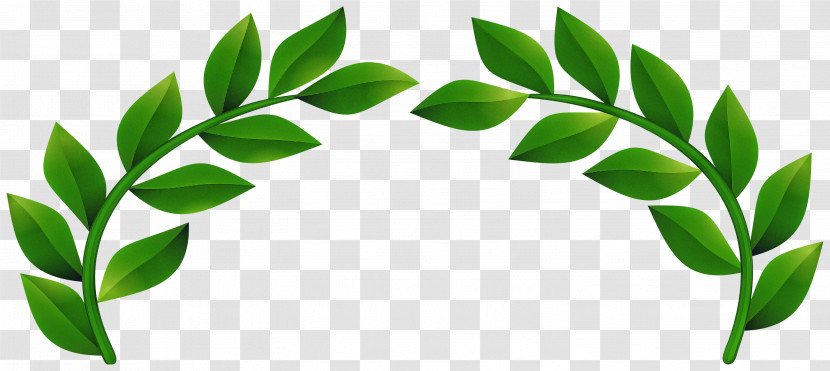 Leaf Green Plant Flower Tree Transparent PNG