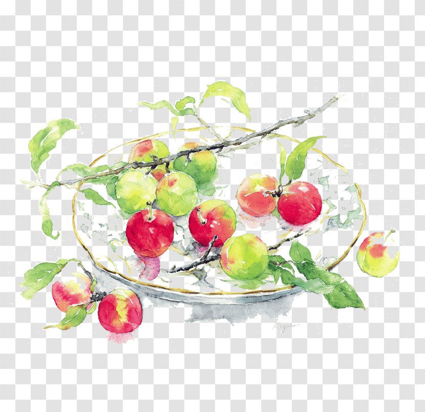 Watercolor Painting Oil Paint - Still Life Photography - Bolliwood Transparent PNG