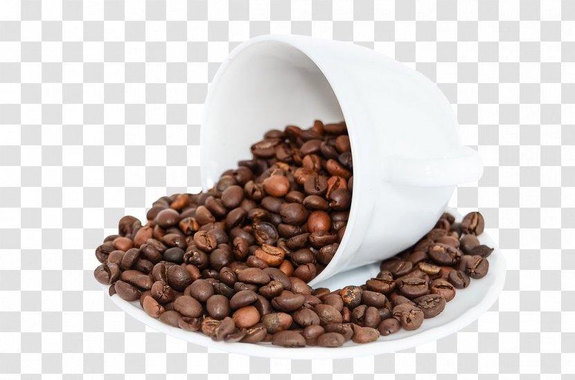 Coffee Bean Tea Cafe Drink - Beans Child Transparent PNG