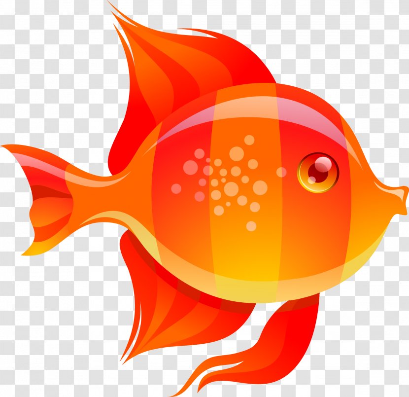 Goldfish Clip Art - Vertebrate - Fish Transparent PNG
