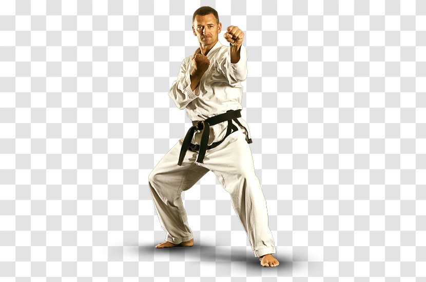 Mixed Martial Arts Karate Taekwondo Brazilian Jiu-jitsu Transparent PNG