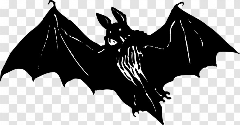 Microbat - Vampire Bat Transparent PNG