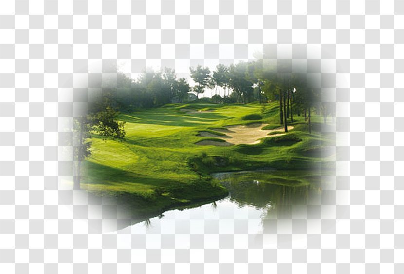 Royal Mougins Golf & Resort Clubs Course Cannes - Landscape Transparent PNG