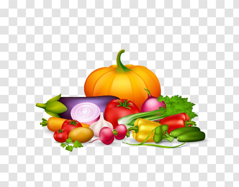 Organic Food Vegetable - Potato - Pumpkin Transparent PNG