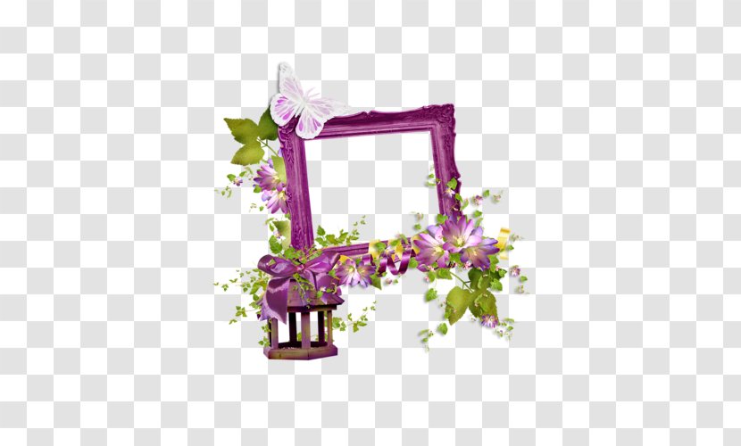 Floral Design Picture Frames Photography Flower Drawing Transparent PNG