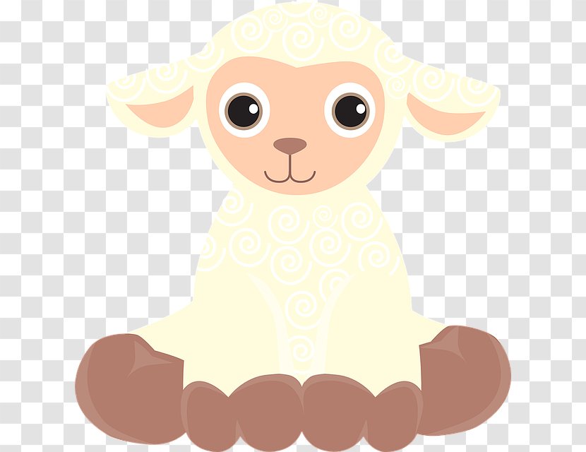 Cute Cartoon Lamb - Sheep - Baby Visual Stimulation Cards Transparent PNG