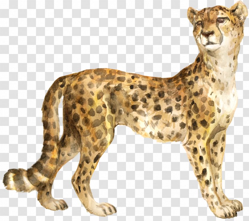 Cheetah The Bedlam Stacks Cat Felidae Cougar - Terrestrial Animal Transparent PNG