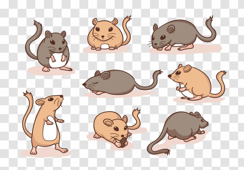 Cat Rat Mouse Gerbil Hamster - Rodent Transparent PNG