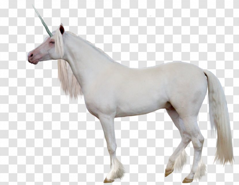 Unicorn Clip Art - Gimp - Image Transparent PNG