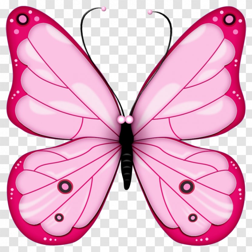 Butterfly Clip Art Openclipart Image Free Content - Wing Transparent PNG