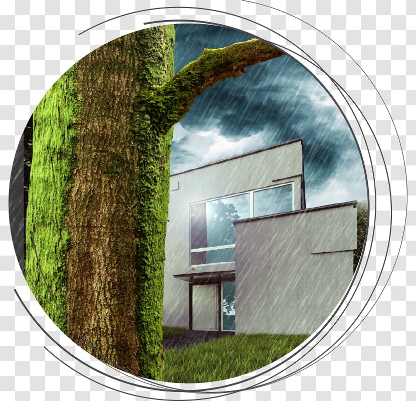 Property Angle Sky Plc - Grass Transparent PNG