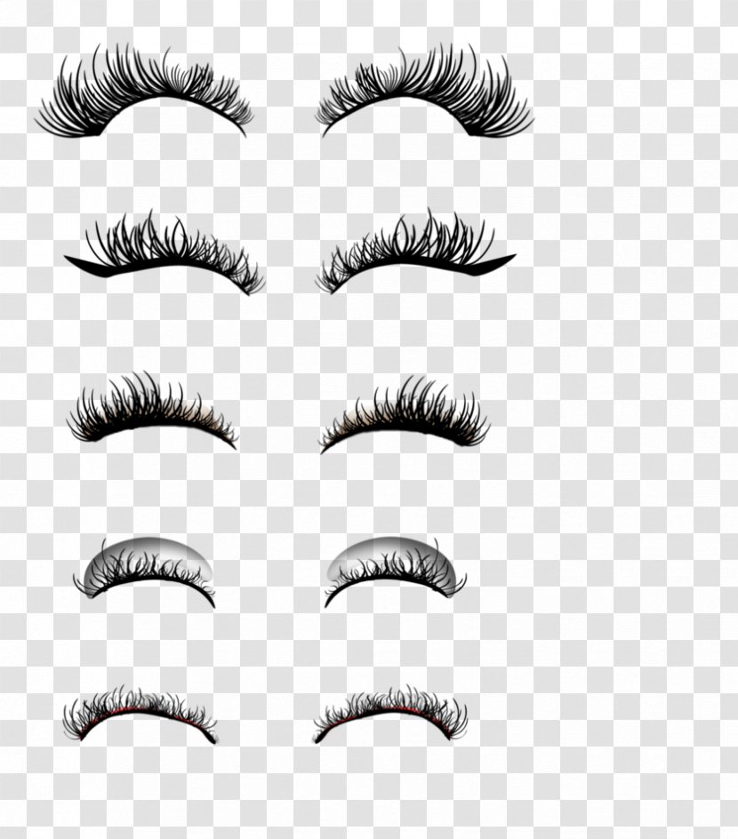 Eyelash Extensions Cosmetics Eyebrow - Cartoon - Brush Transparent PNG