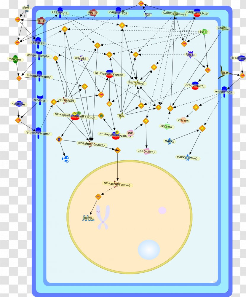 Line Point Art Angle Organism - Recreation Transparent PNG