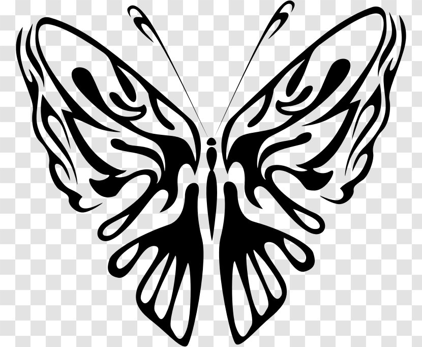 Monarch Butterfly Clip Art - Arthropod Transparent PNG