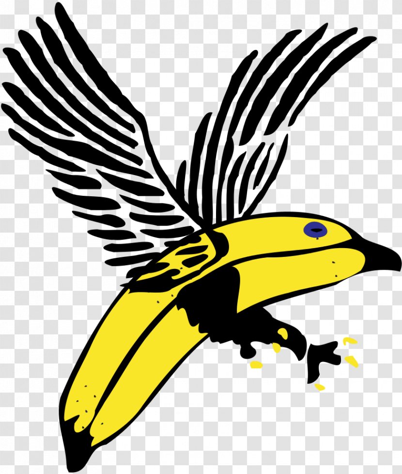 Embry–Riddle Aeronautical University Academic Degree Bachelor's Associate - Wing - BANAN Transparent PNG