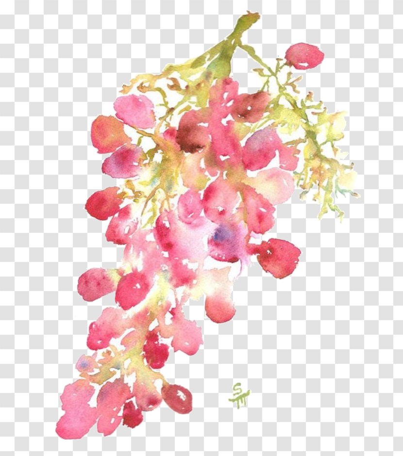 Watercolor Painting January Wallpaper - Blossom - Flower Transparent PNG