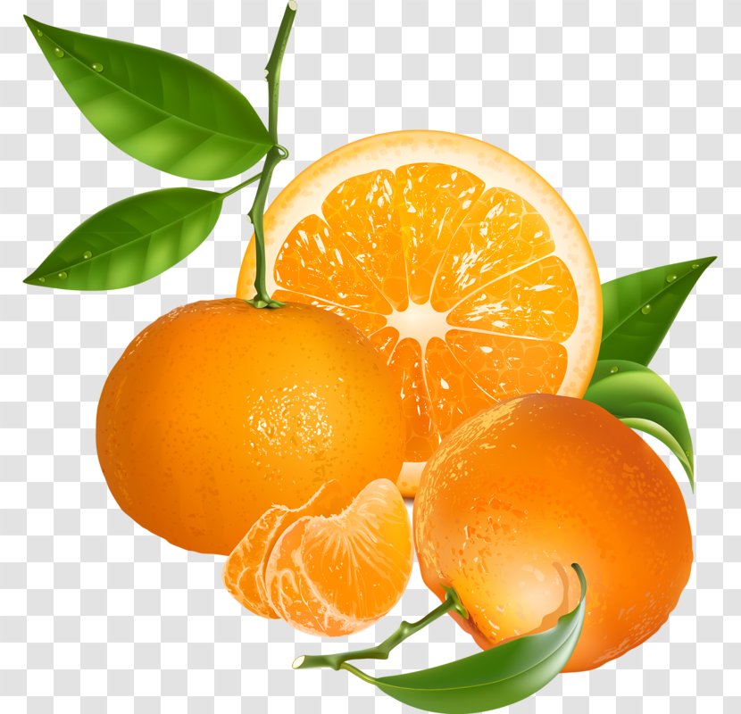Orange Tangerine - Citron Transparent PNG