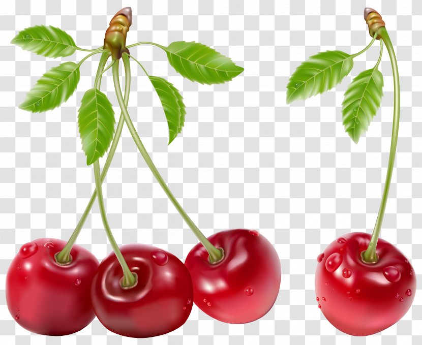 Cherry Fruit - Acerola - Plant Transparent PNG