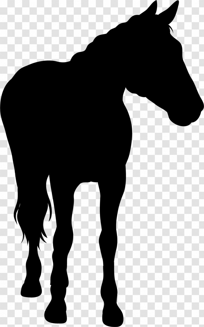 Horse Silhouette - Mammal - A Transparent PNG