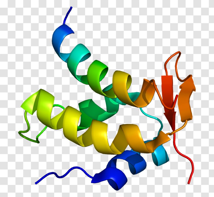 CTDP1 WD Repeat-containing Protein 77 Gene Enzyme Arginine Methyltransferase 5 - Artwork - Rna Polymerase Transparent PNG