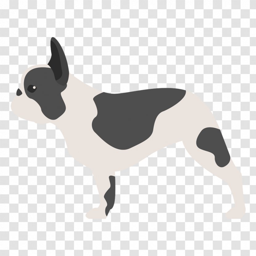 Boston Terrier French Bulldog Bichon Frise Poodle - Non Sporting Group - Frances Transparent PNG
