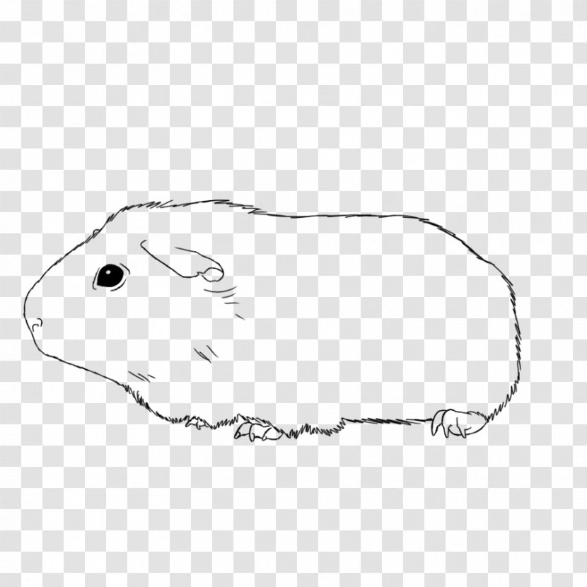 American Guinea Pig Drawing Coloring Book Clip Art - Food Transparent PNG