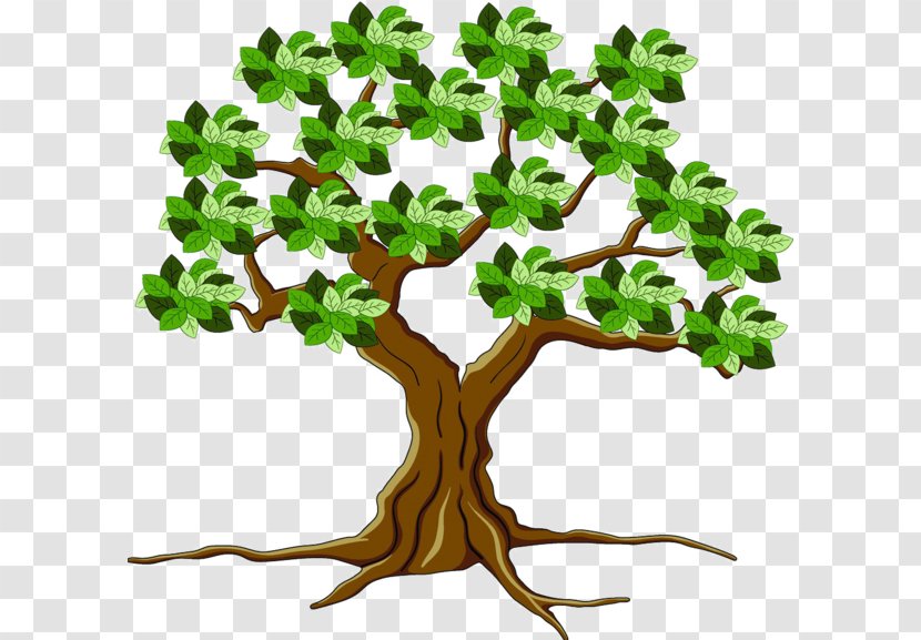 Tree Leaf Root - Cartoon Transparent PNG