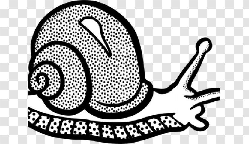 Pond Cartoon - Coloring Book - Slug Transparent PNG