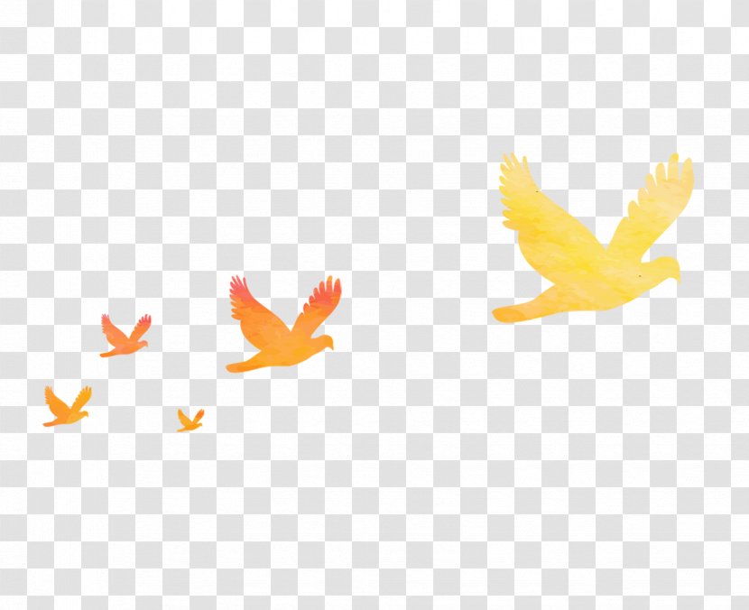 Silhouette Cartoon - Orange - Bird Transparent PNG