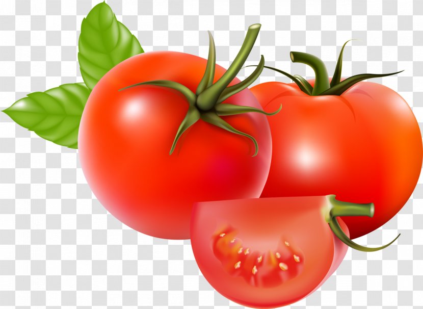 Plum Tomato Bush Soup Vegetable - Vegetable, Transparent PNG