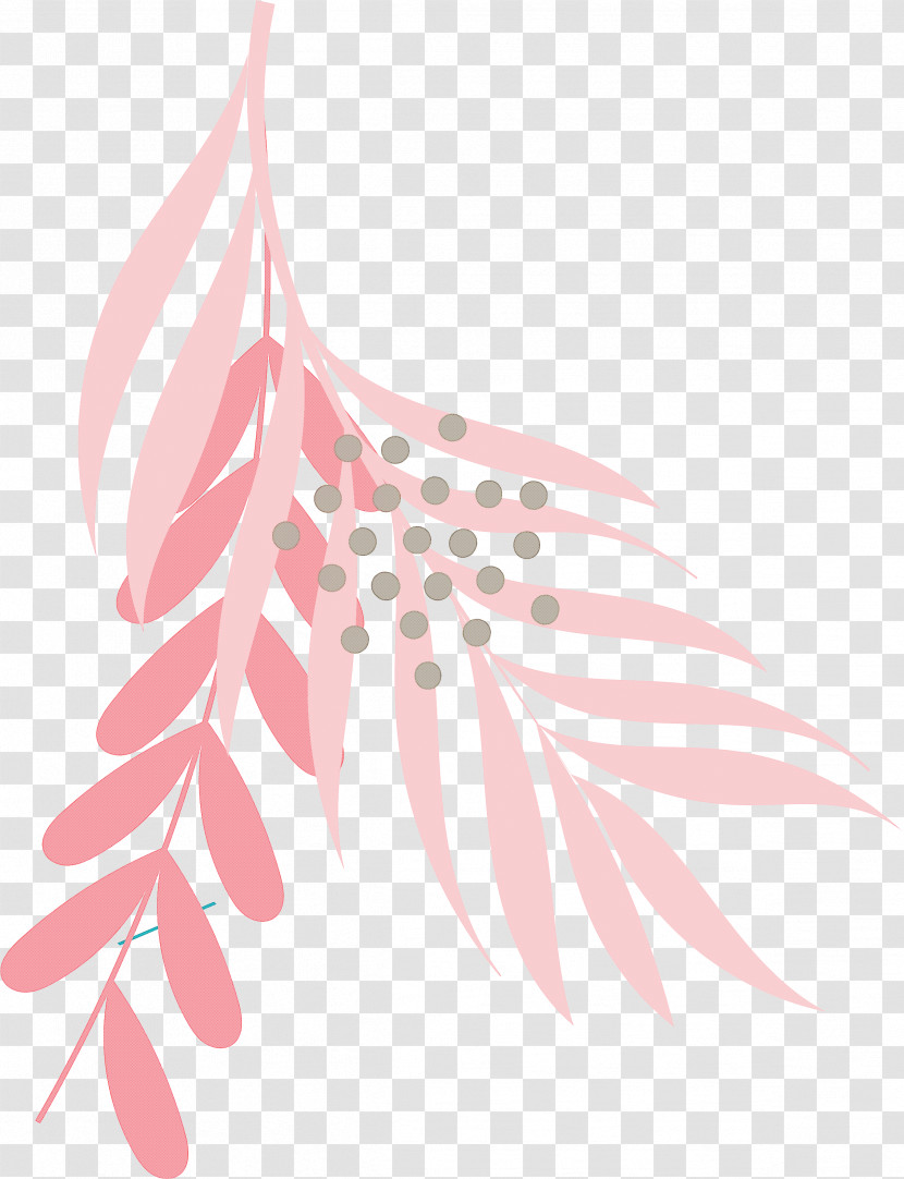 Feather Transparent PNG