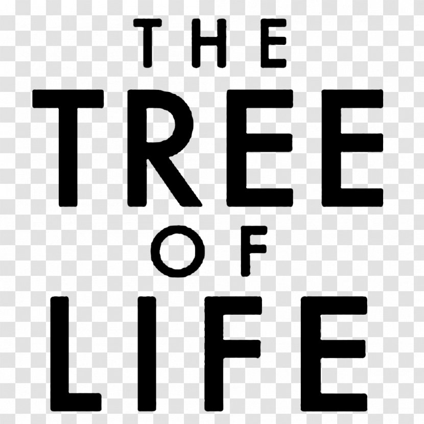 Tree Of Life YouTube - Photography Transparent PNG