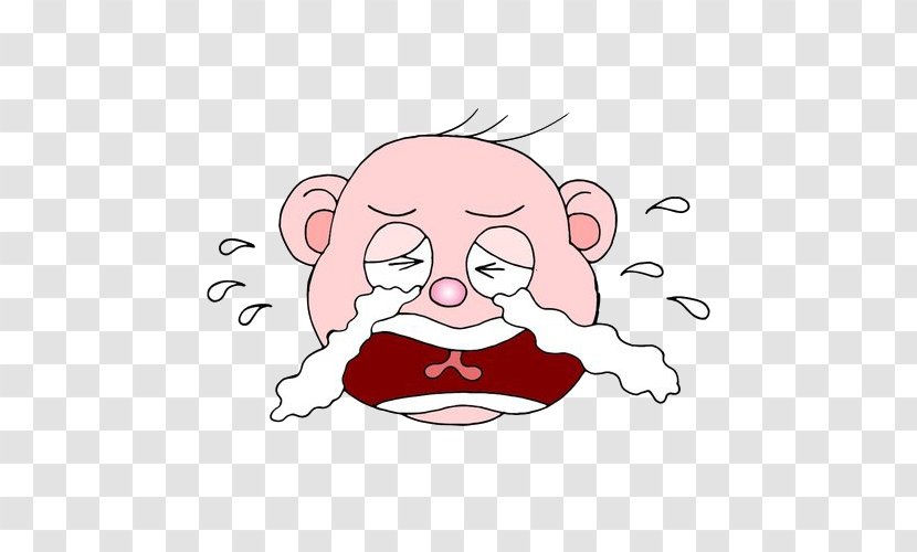 Crying Infant - Flower - Baby Grievances Expression Material Transparent PNG