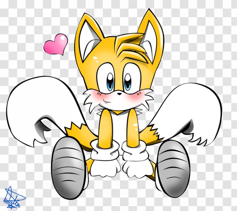 Sonic And The Secret Rings Tails Mania Hedgehog Video Game - Tail - Trip Lee Transparent PNG