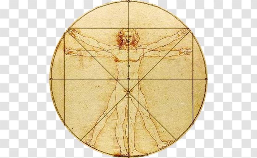 Vitruvian Man Body Proportions Golden Ratio Drawing - Mathematics Transparent PNG