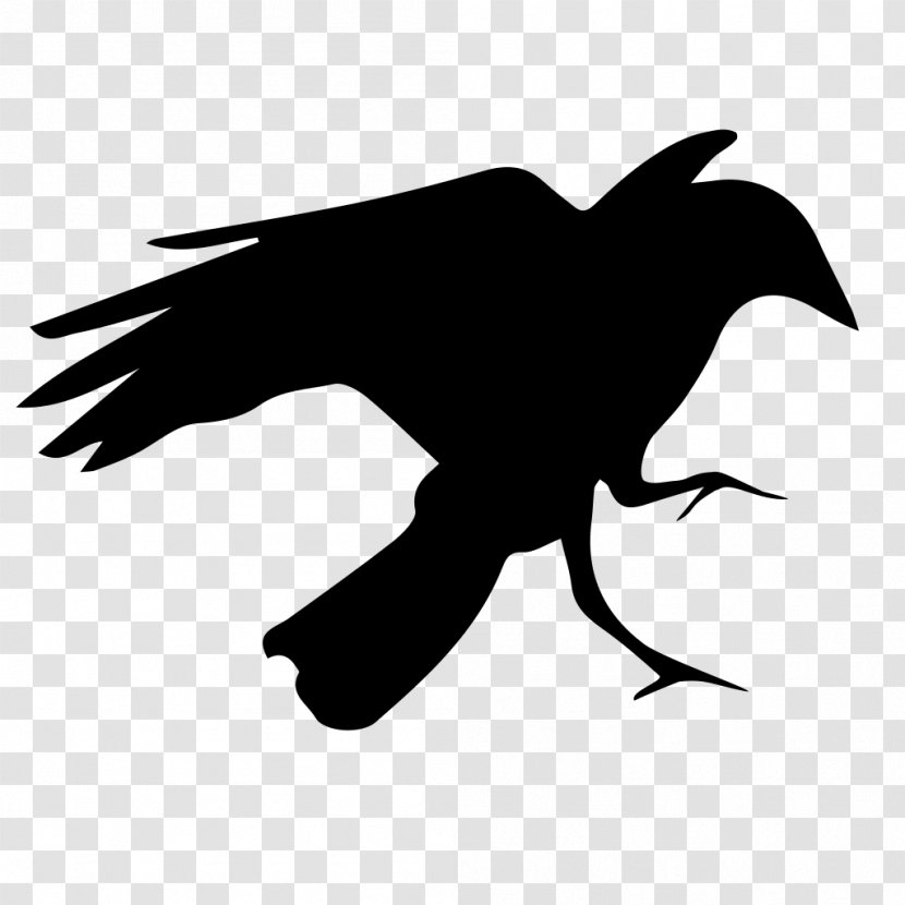 Family Silhouette - Crow - Perching Bird Beak Transparent PNG