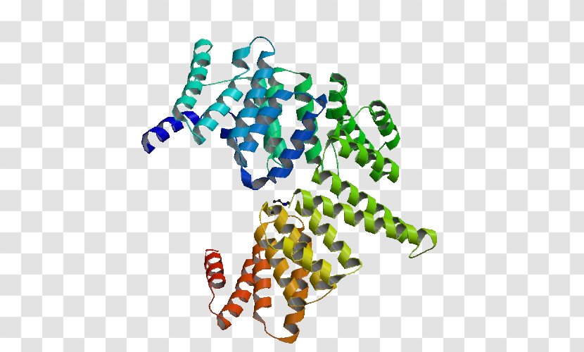 Protein RecA SOS Response Molecular Biology - Structure - Dna Repair Transparent PNG