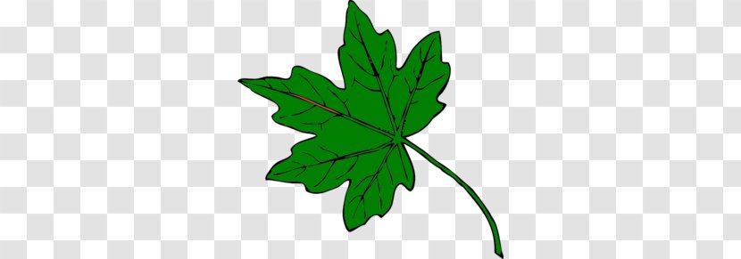 Maple Leaf Green Clip Art - Autumn Color - Cliparts Transparent PNG