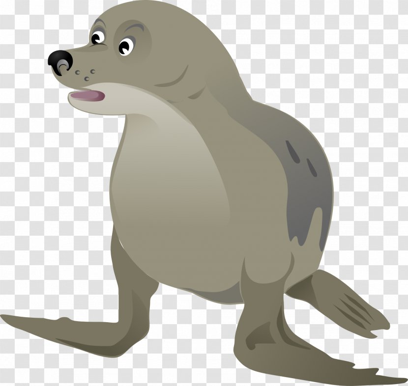 Free Pinniped Grey Seal Clip Art - Beak - Sea Animals Transparent PNG