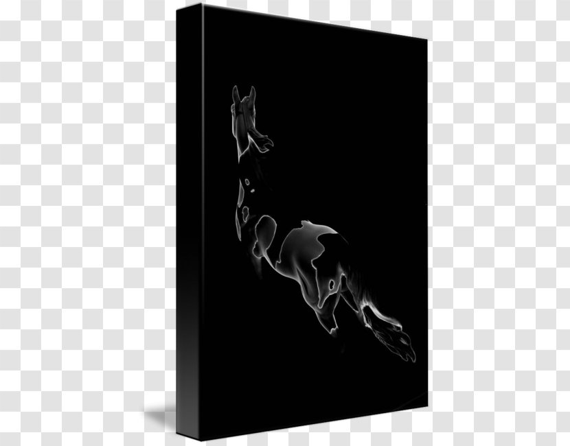 Horse Black Silhouette Photography White - Joint - Pinto Transparent PNG
