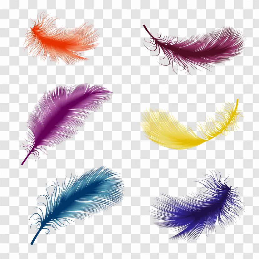 Bird Feather Euclidean Vector Illustration - Drawing - Floating Transparent PNG