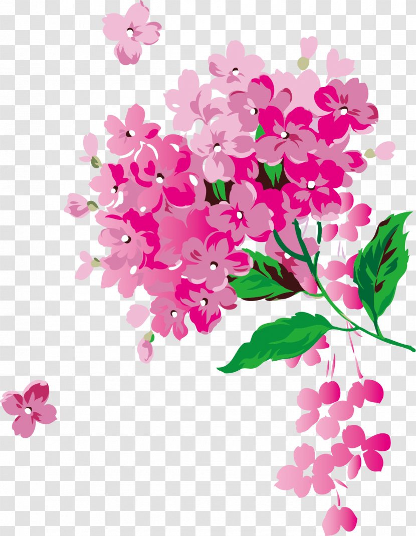 Flower Download Petal - Floral Design - Hand Painted Cherry Pattern Transparent PNG