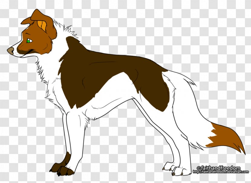 Dog Breed Border Collie Cat Greenland Siberian Husky - Red Fox Transparent PNG