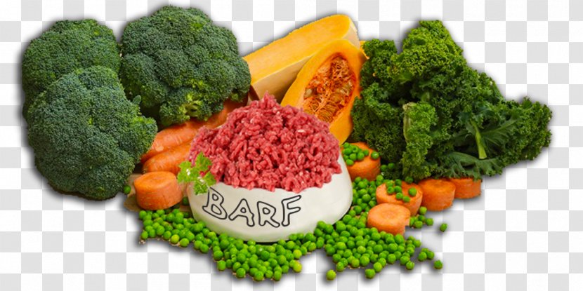 Vegetables Cartoon - Food Group - Kale Local Transparent PNG