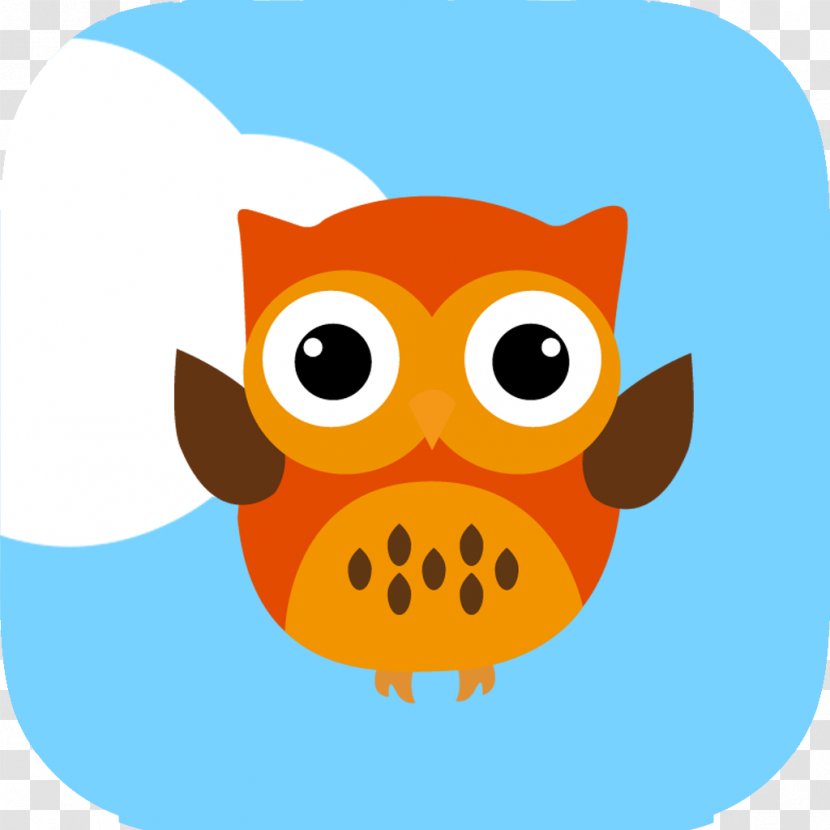 Owl Bird Beak Clip Art - Animal Transparent PNG