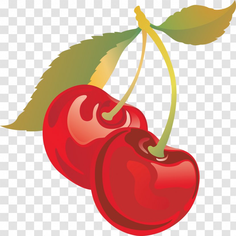 Sweet Cherry Drawing Clip Art - Peach Transparent PNG