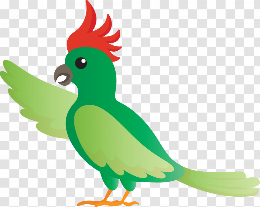 Rooster Parrots Macaw Chicken Beak Transparent PNG