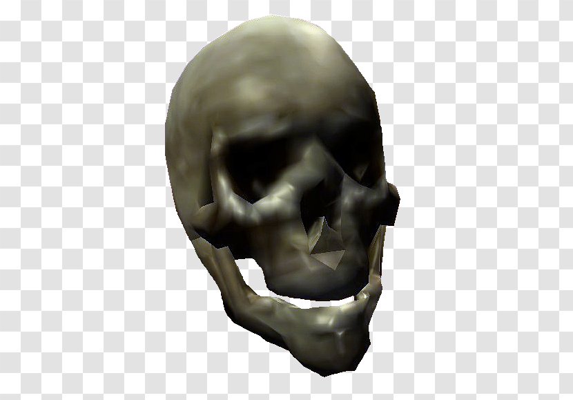 Oblivion Minecraft Scrolls Bone Skull Transparent PNG