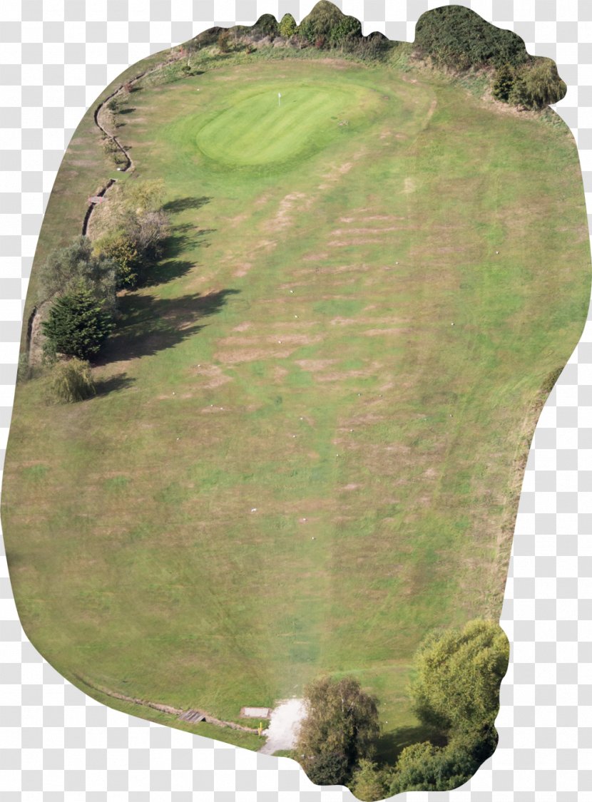Golf Course Portsmouth Centre Hole Par - Tree Transparent PNG