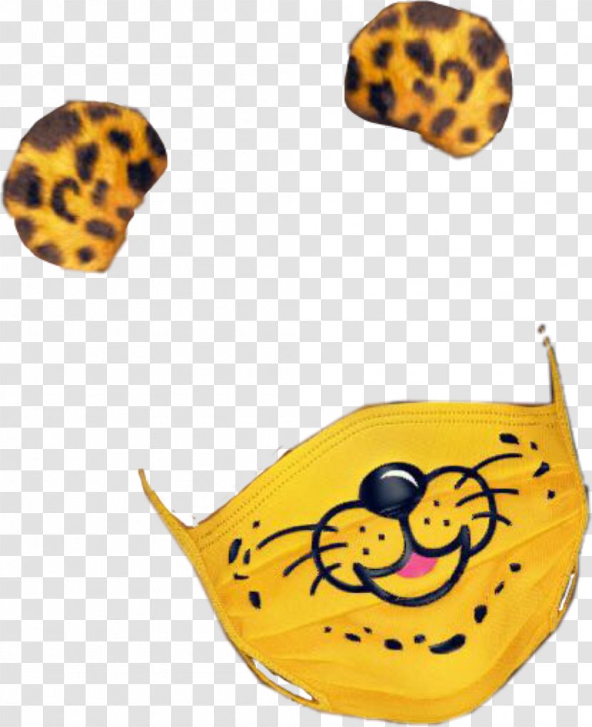 Snapchat Image Musical.ly Cheetah Photograph - Ladybird - Polaroid Snap Filters Transparent PNG